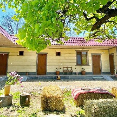 Aghasu Tun B&B Odzun Zewnętrze zdjęcie